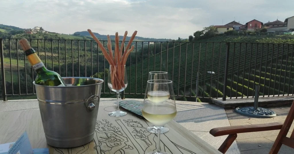degustazione vino Barbaresco terrazza vigneti Piemonte cantina produttori