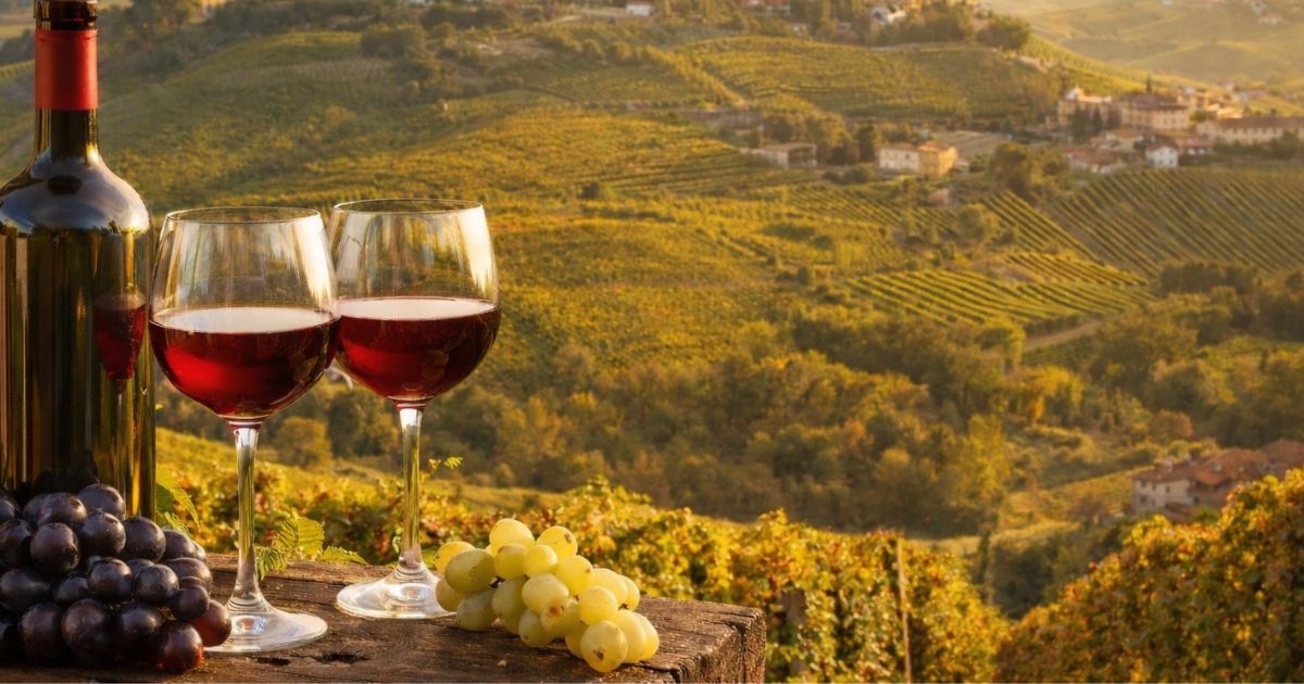 cantine da visitare nelle Langhe Barolo e Barbaresco