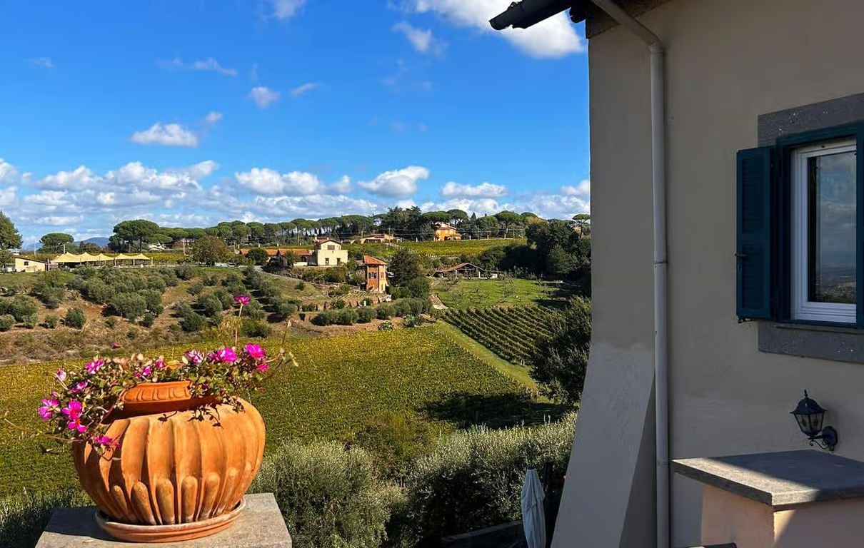 Terrazza con vaso di fiori rosa affacciata sui vigneti e gli uliveti di Frascati nei Castelli Romani, con cielo azzurro e nuvole sullo sfondo