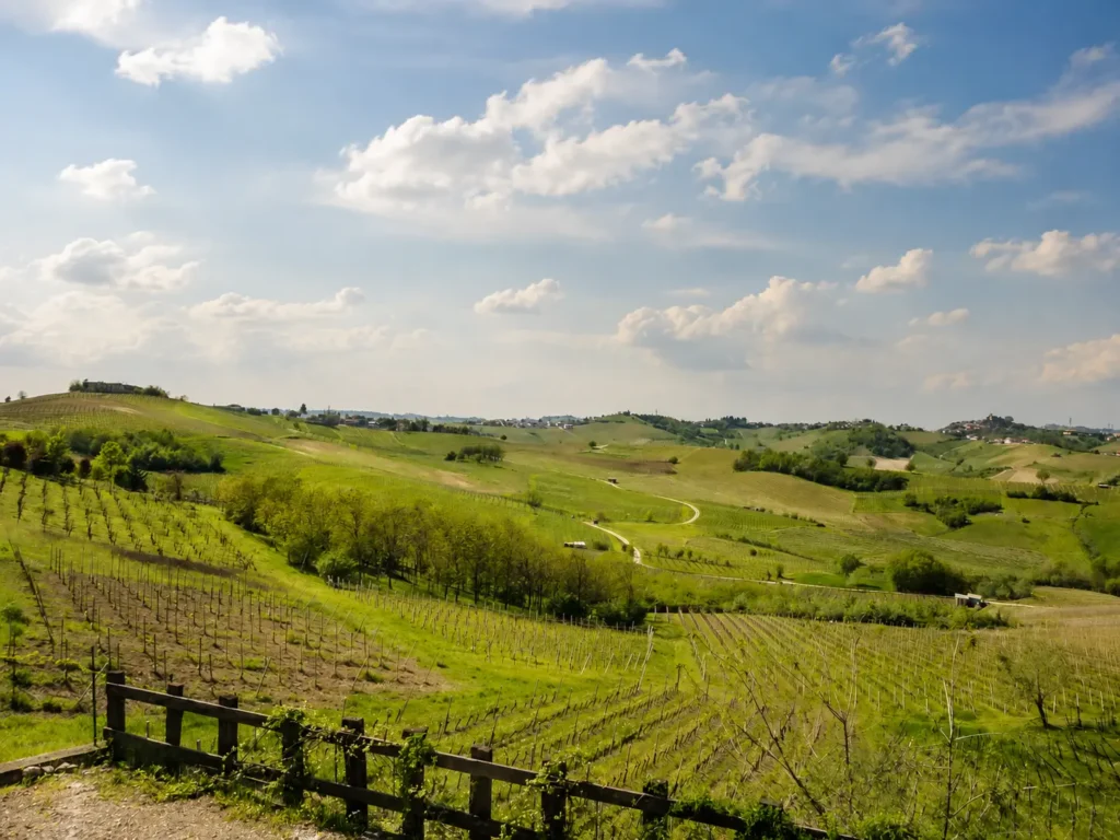 Vigneti e colline dell’Oltrepò Pavese a San Damiano al Colle
