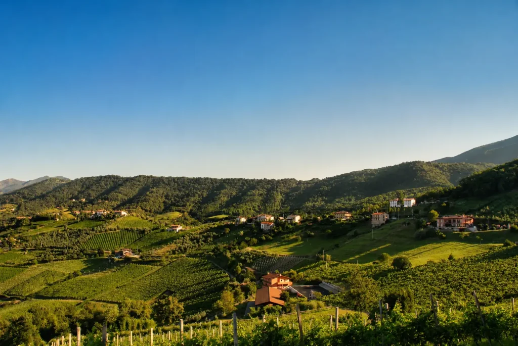 Vigneti di Scanzorosciate, territorio del Moscato di Scanzo