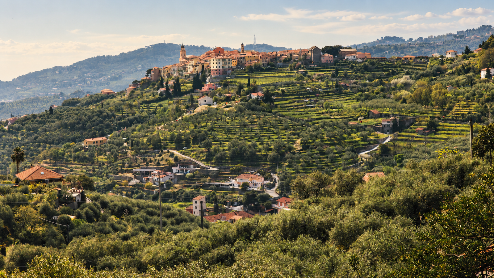 Vigneti sulle colline del Ponente ligure