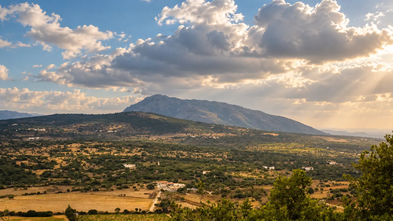Paesaggio rurale e vigneti nelle campagne vicino a Nuoro